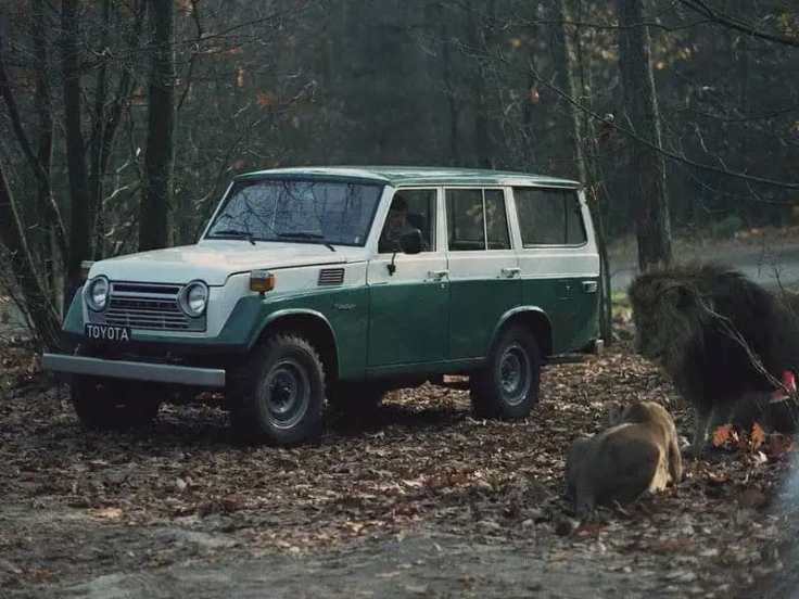 WhatsApp Image 2018-09-17 at 14.00.07